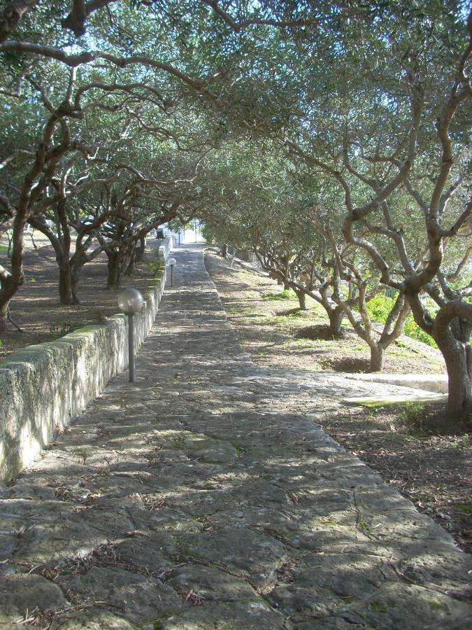 Quattrocchi